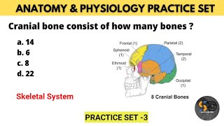 Anatomy amp Physiology Practice set 3  Skeletal System  Sports Darbar [upl. by Alleinnad531]