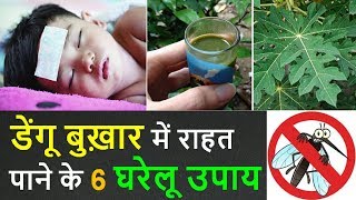 Dengue Fever Ayurvedic Treatment in Hindi  Top 6 Home Remedies [upl. by Enilegna]