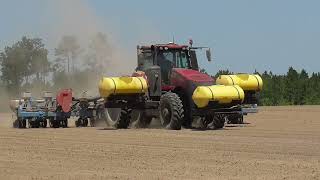 CASEIH MAGNUM305 PLANTING PEANUTS WITH A MONOSEM PLANTER BRIDGES FARMS 2022 PEANUT PLANTING PT2 [upl. by Feinstein]