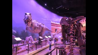 Im größten Schöpfungsmuseum der Welt CREATION MUSEUM in Kentucky [upl. by Gnud]