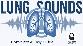 Lung Sounds  Breath sounds Types amp Causes Remastered [upl. by Ennis57]