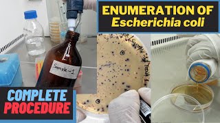 Enumeration of Escherichia coli Total E coli CountA Complete Procedure ISO 93081 amp ISO 16649 [upl. by Vere]