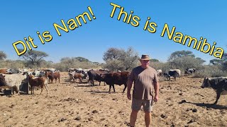 Oppie Plaas  Wat nou Namibia 2024 The Farm 2 [upl. by Lalat]