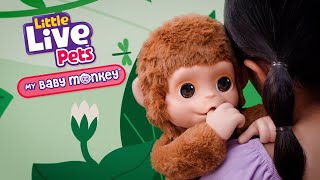 LITTLE LIVE PETS I MY BABY MONKEY TVC I 30 [upl. by Eenolem]