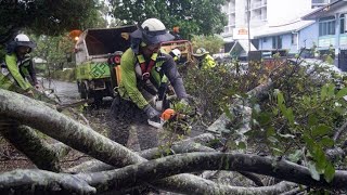 Tropensturm trifft auf Australiens Ostküste [upl. by Anibur]