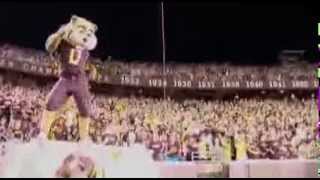 Goldy Gophers 2014 Nationals Entry Video [upl. by Akinaj]