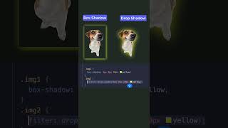 boxshadow vs dropshadow in css webdevelopment html css [upl. by Yvette]