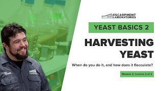 Harvesting Yeast  Yeast Basics 2 Lecture 4  Escarpment Labs [upl. by Xyno]