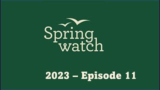 Springwatch 2023 Episode 11 [upl. by Notyarb]