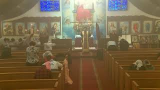 St Philopater amp St Mina Coptic Orthodox Church Live Stream [upl. by Aikal]