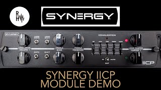 Synergy IICP Module Demo [upl. by Accber23]