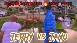 JERRY vs JANO🔥TODAY BROWN MUSTACHE BLACK amp WHITE CROWN HEAD BIRD WHISTLING COMPETITION IN BV 🇬🇾 2024 [upl. by Zena]