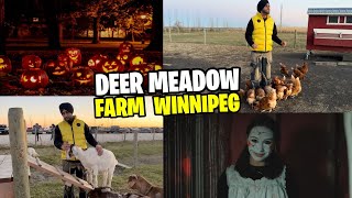 VLOG 47 ⭐  Deer Meadow Farms WINNIPEG  Happy Halloween 🎃  Punjabi Vlog [upl. by Lectra677]