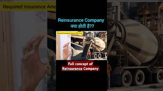 Reinsurance Company क्या होती है REINSURANCE [upl. by Blisse]