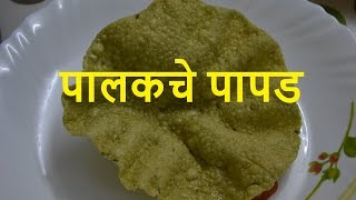 Palak Papad in marathi  Spinach Papad  पालकचे पापड  Khichiya Papad [upl. by Cinelli]