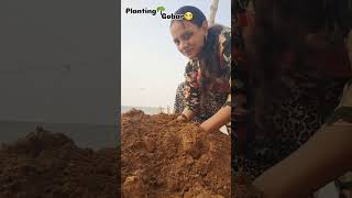 Planting🪴Gobar se allergy🥲foryou trendingshorts viralshort ytshorts minivlog [upl. by Calmas735]