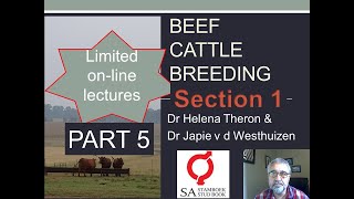 5 Online English Beef Cattle Breeding Course Section 1 PART 5 [upl. by Mckenna]