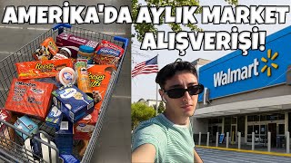 AMERİKA MARKET ALIŞVERİŞİ 2023 Walmart Market Fiyatları Work and Travel 2022 Amerika Vlog Yaşam [upl. by Niattirb]