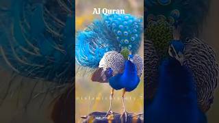 AI Quran translation urdu 🤗islamicpage shotsvideo viralvideo urdu [upl. by Wernher]