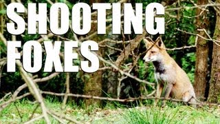 Fieldsports Britain  Shooting foxes [upl. by Tulley]