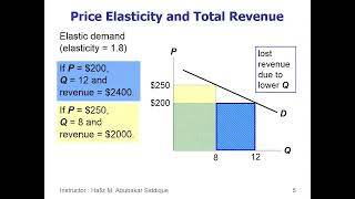 Total Revenue and Elasticity in Urdu Hindi Cross Elasticity  Income Elasticity  the Economics [upl. by Ediva59]