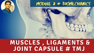 MUSCLES LIGAMENTS amp JOINT CAPSULE Temporomandibular Joint Biomechanics [upl. by Eiromem]