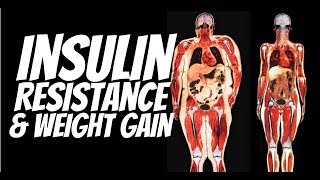 Insulin Resistance and Weight Gain  Gauge Girl Training [upl. by Ravens]