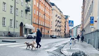 Stockholm Walks Pontonjärgatan Residential inner city area beyond the tourist streets [upl. by Readus]