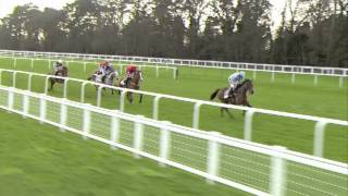 2016 Sodexo Clarence House Chase  Un De Sceaux  Racing TV [upl. by Meilen]