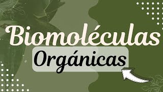 Biomoléculas Orgánicas Resumen 📚⚡ [upl. by Weirick]