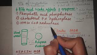 Lipid lowering drugs  Pharmacology  USMLE STEP 1 [upl. by Coady]