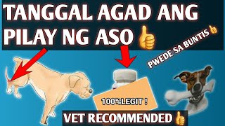 PINAKAMABISANG GAMOT SA PILAY NG ASOVITAMINS SA BUTOPART 1 [upl. by Aerdua]