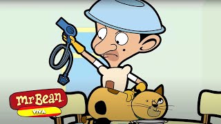 ¿El gato del Mr Bean gana un concurso de belleza  Clips divertidos de Mr Bean  Viva Mr Bean [upl. by Htenek]