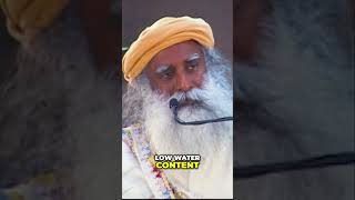 Boost Your Health Why Hydrating Foods Matter englishspeakingcountries sadhguruenglish motivation [upl. by Tatia]