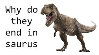 Why do many dinosaurs names end with saurus [upl. by Quinby]