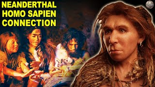 Did Homo Sapiens Really Mate With Neanderthals [upl. by Grefer]