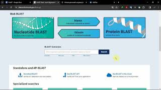 Exemple doutils dalignement multiple local  BLAST [upl. by Yzmar481]