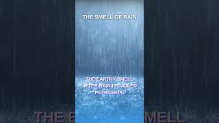 The Smell of Rain [upl. by Mariette]