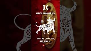 Ox Zodiac Forecast 2024  Year of the Wood Dragon  Chinese Astrology Insights amp Predictions [upl. by Aritak476]