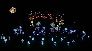 Wildflowers  The Wailin Jennys  Holiday Light Show [upl. by Stephana]