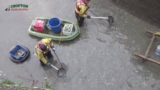 Crofton Beam Engines  Fish rescue on the Kennet amp Avon Canal at Crofton [upl. by Nyliram]