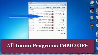 All Immo Programs IMMO OFF 17 [upl. by Ynaffets]