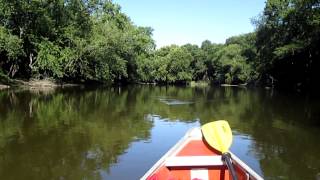 Tippecanoe River Solo canoe trips Tippecanoe River State Park Winamac Indiana [upl. by Atilrak]