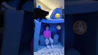 Epic Cat Fails Compilation 🐱🤣 MyPetsie [upl. by Ennaej]