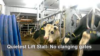 LEO Dairy Systems 2 x8 Parallel Lift Rapid Exit Milking Parlor Stall 90 Degree [upl. by Wallack678]