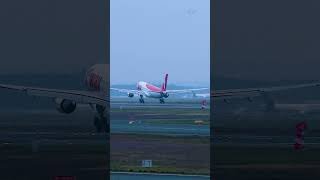 Tway Air Airbus A330 touching down at frankfurtairport  aviation plane tway fra touchdown [upl. by Teahan]