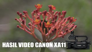 HASIL VIDEO CANON XA11  VIDEO TEST CANON XA11 INDONESIA  FULL HD [upl. by Marron]