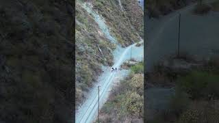 Espectacular Viaducto del Toro 🧡⭐🌄🎢 drone salta travel trip trip air3 dji shorts shortvideo [upl. by Annaira953]