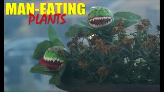 Top 5 Human Eating Plants in the World Beware of These Carnivorous Vegetation trend Daily Facts [upl. by Ahsyla837]