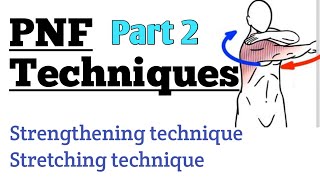 PNF Techniques  Part 2 [upl. by Odrautse]